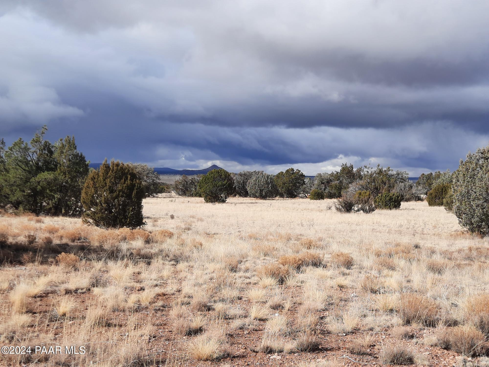 Lot 984 West Bullet Road Seligman, AZ 86337 - Photo 10 of 20 20240123_134348