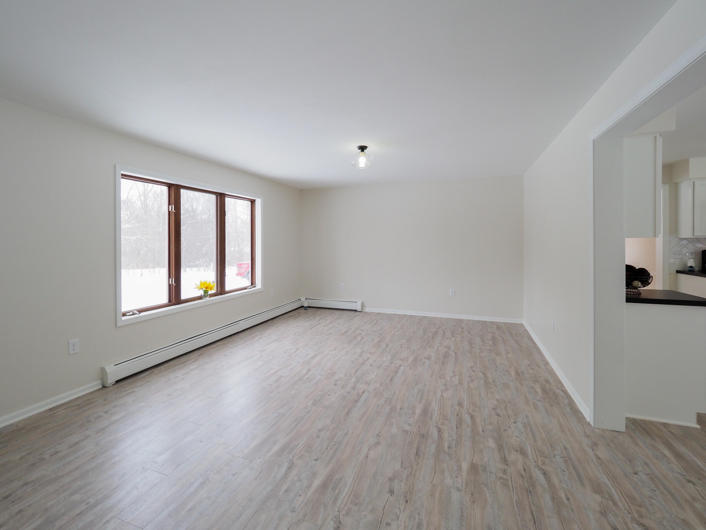 50525 Burlington Road Marcellus, MI 49067 - Photo 10 of 29 Living room