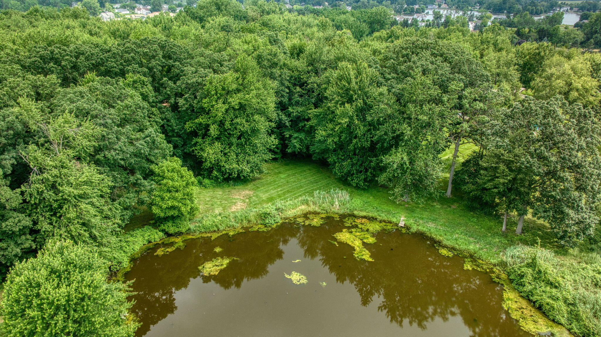 8395 Dalton Road Onsted, MI 49265 - Photo 61 of 67 77-web-or-mls-DJI_0151_HDR