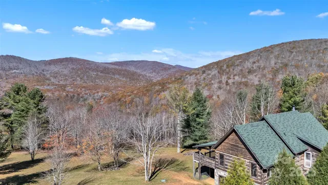 a view of a backyard with plants and a mountain