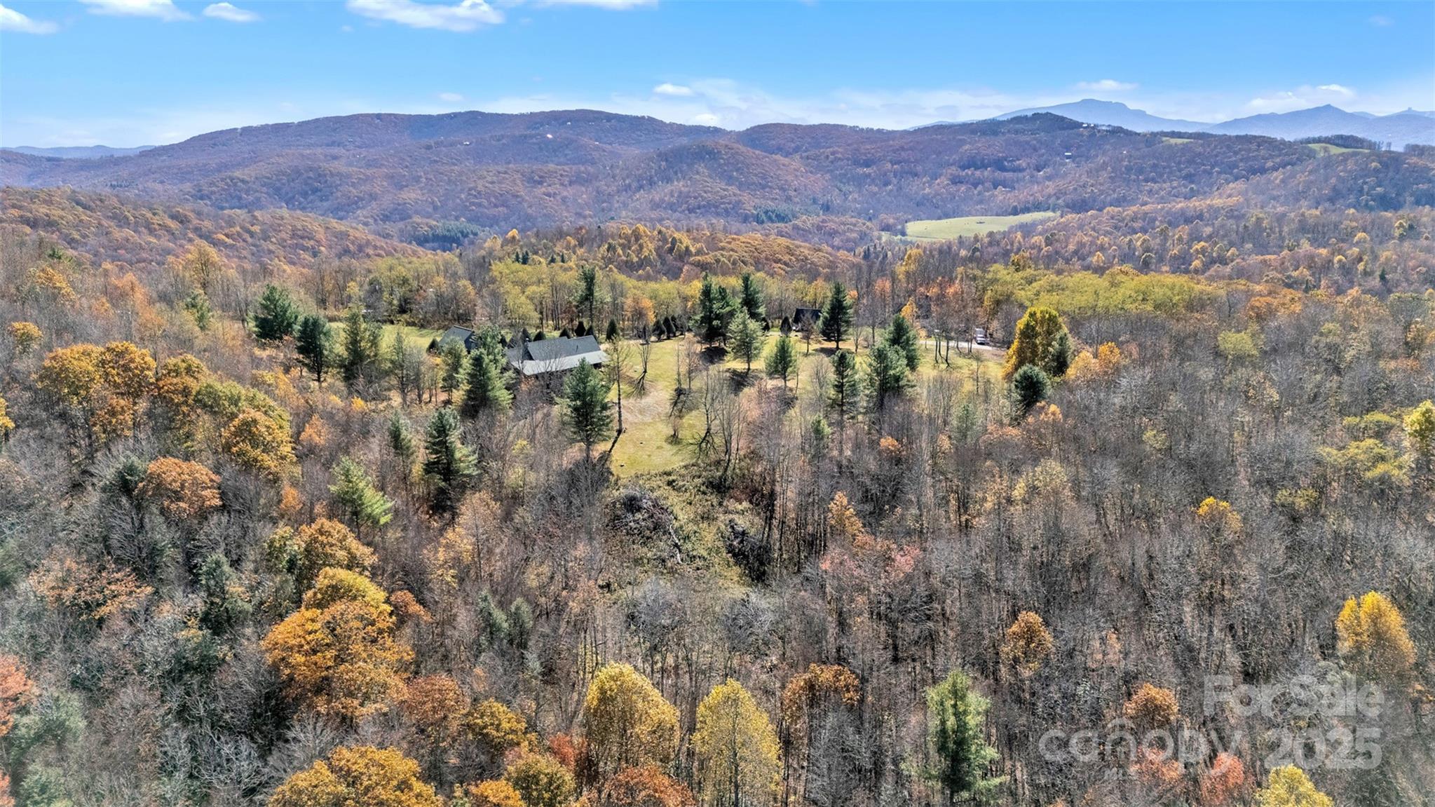 525 David Sides Road Boone, NC 28607 - Photo 4 of 46