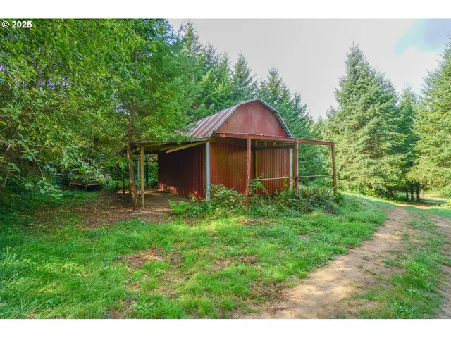 a view of a yard with a tree