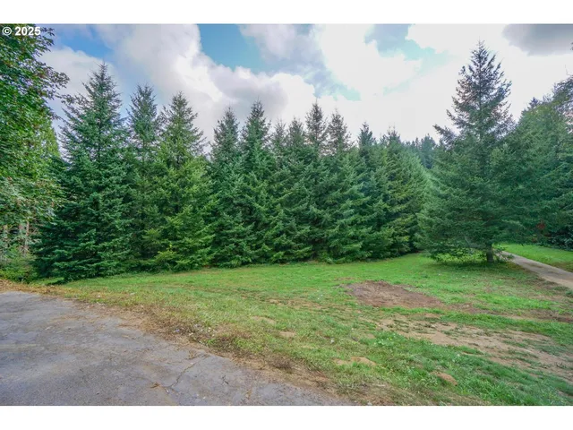 $594,999 | 45400 Northeast Pup Creek Road, Woodland, WA 98674
