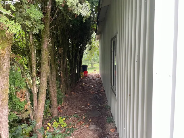 a view of a pathway of a yard