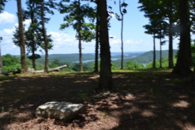 0 Rock Fish Road East Celina, TN 38551 - Photo 15 of 27
