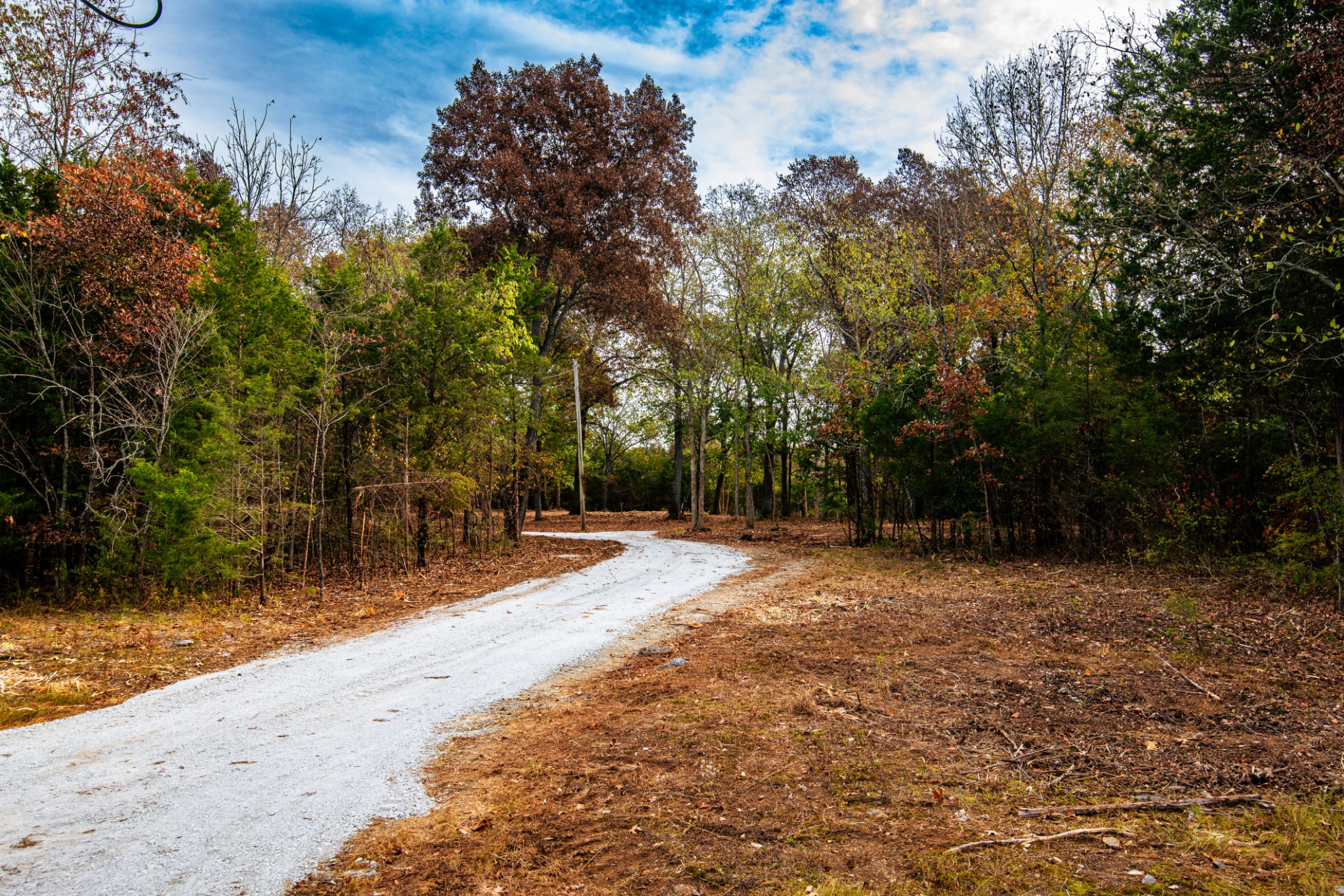 5437 Reynolds Road Columbia, TN 38401 - Photo 1 of 1 Gallery Image 1