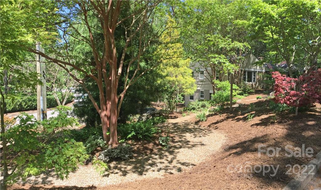 2 Maplewood Road Asheville, NC 28804 - Photo 6 of 36 Gallery Image 6