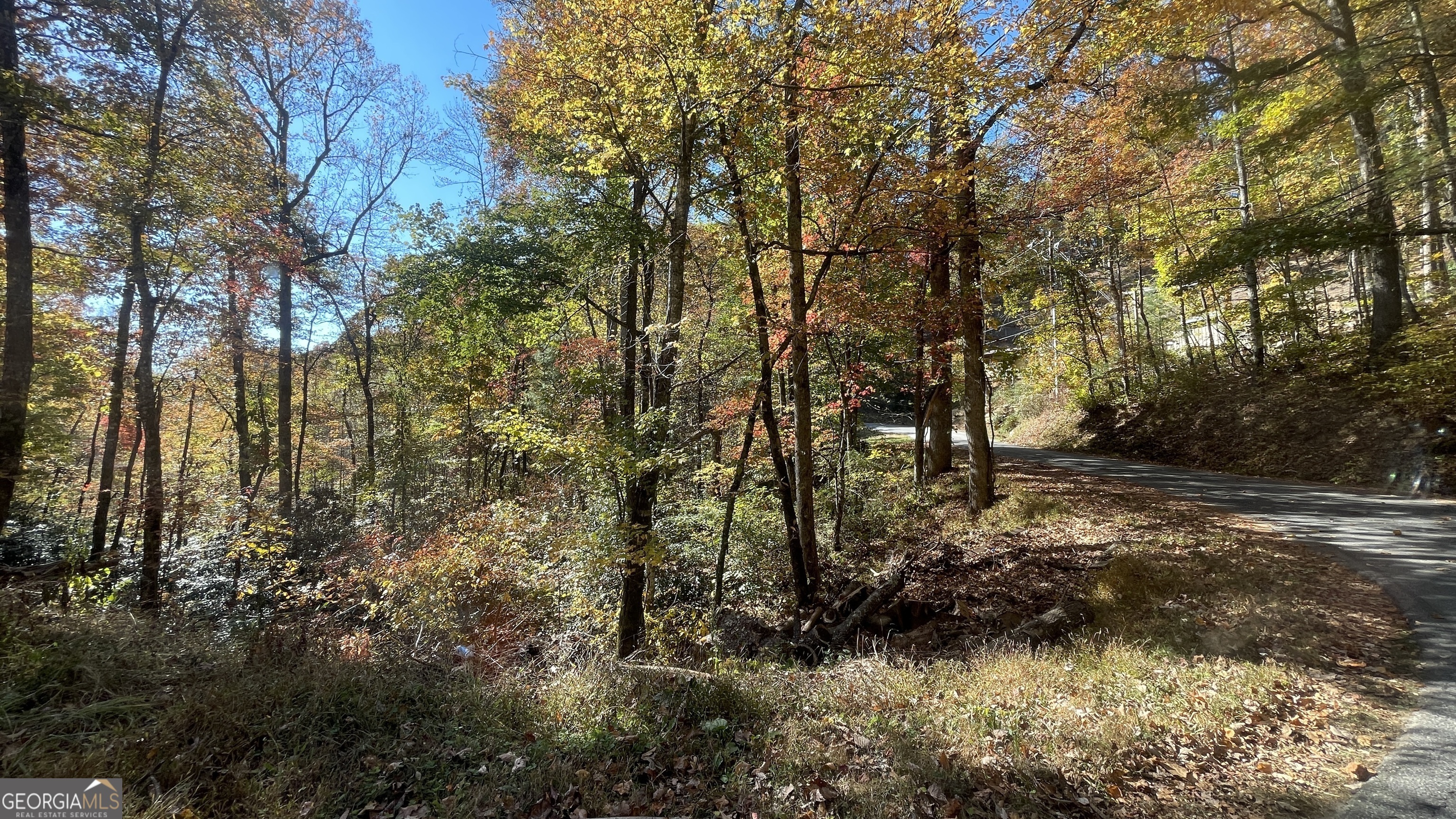 0 Crusher Run Road Rabun Gap, GA 30568 - Photo 1 of 1 Gallery Image 1