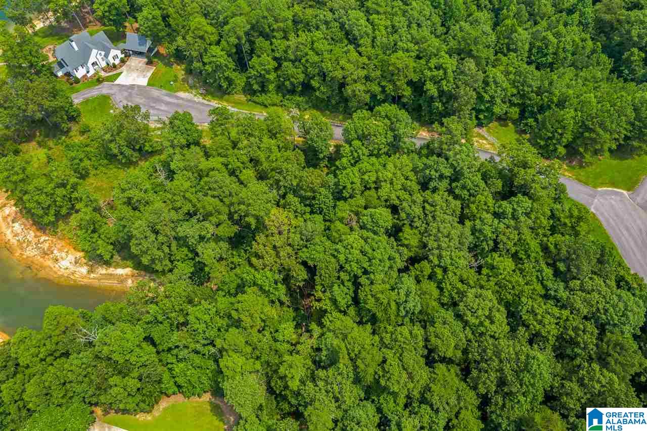 182 County Road, Unit 122 Crane Hill, AL 35053 - Photo 12 of 34