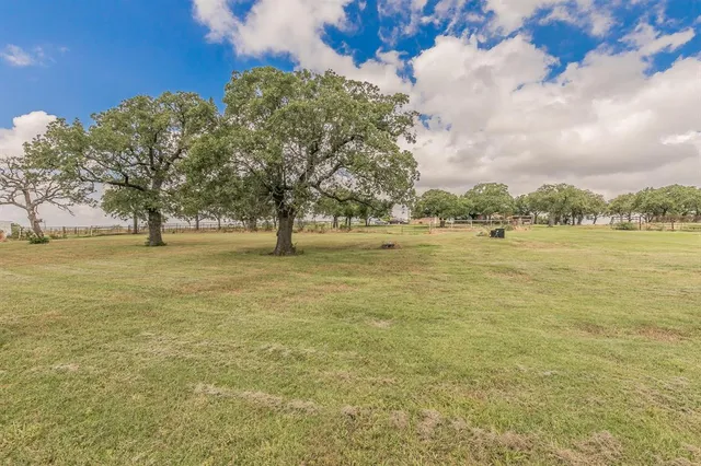 a view of a yard with large trees