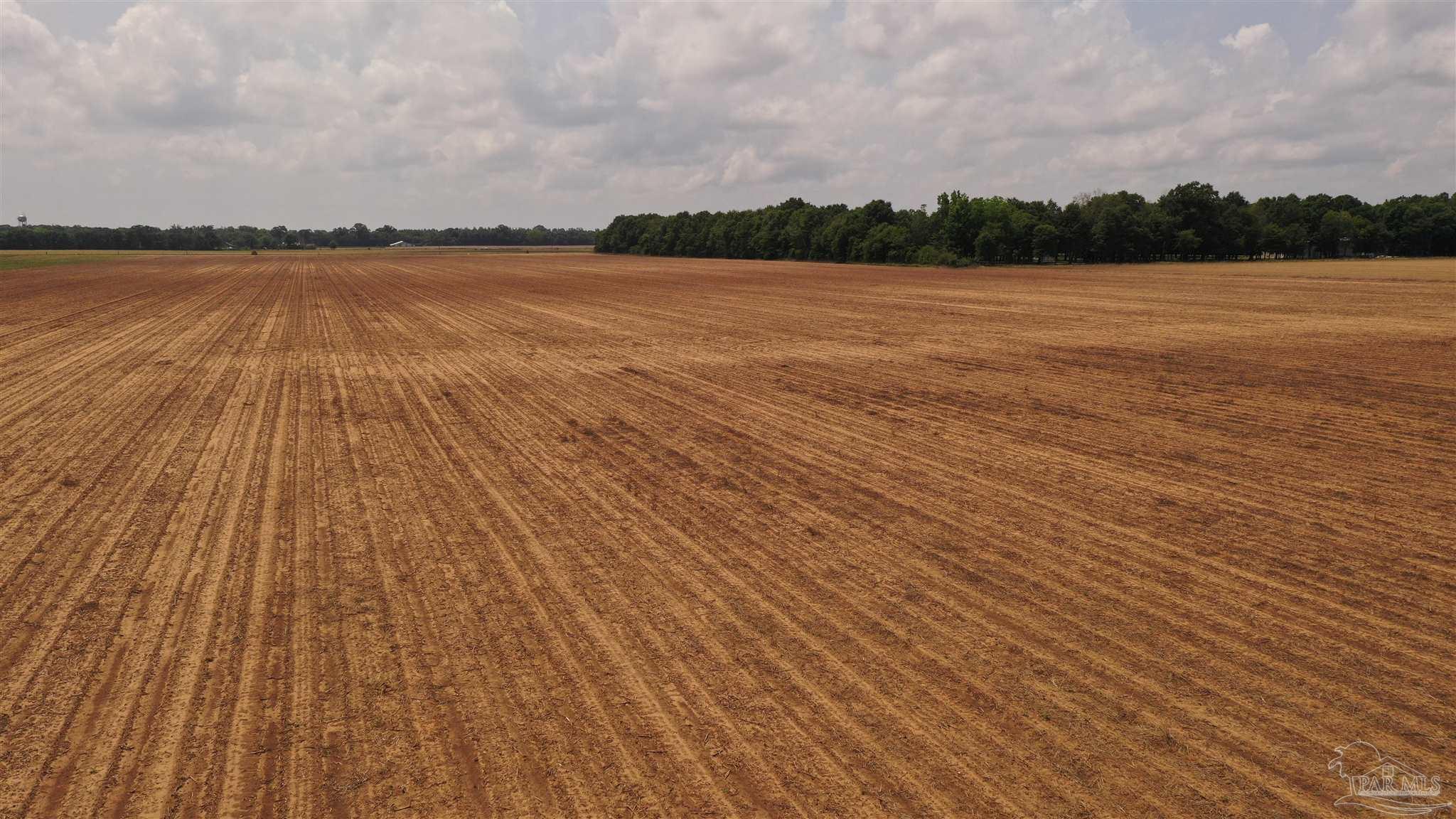 2 Salter Road Milton, FL 32571 - Photo 14 of 21