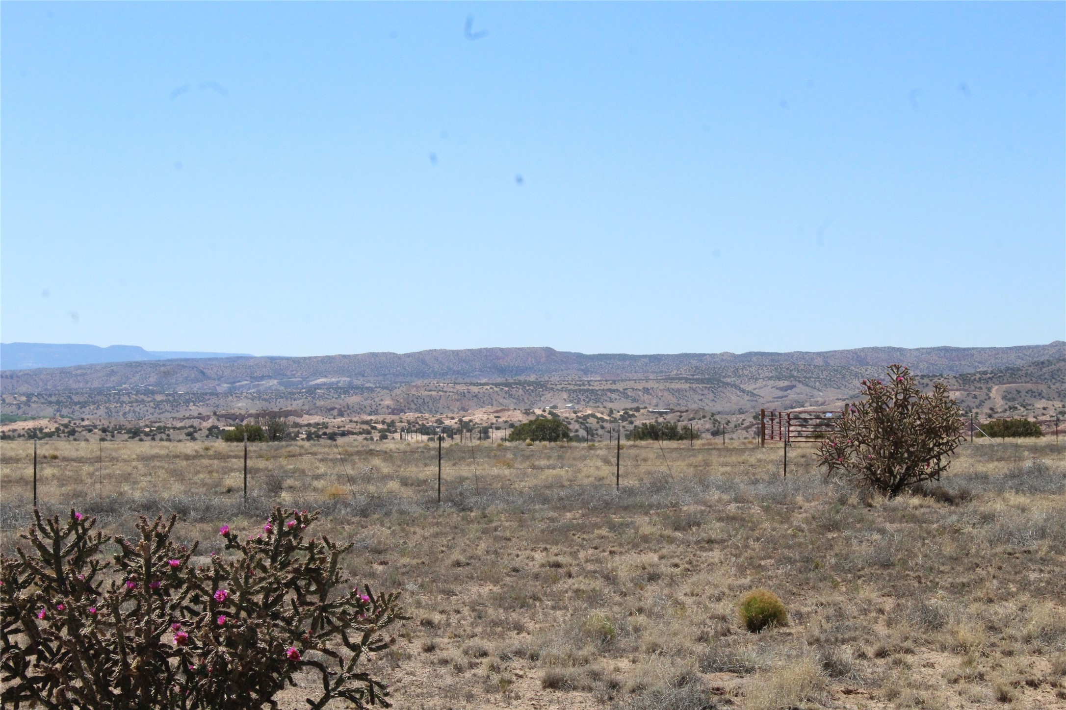 Tbd Tbd Bridle Trail Ojo Caliente, NM 87549 - Photo 2 of 7