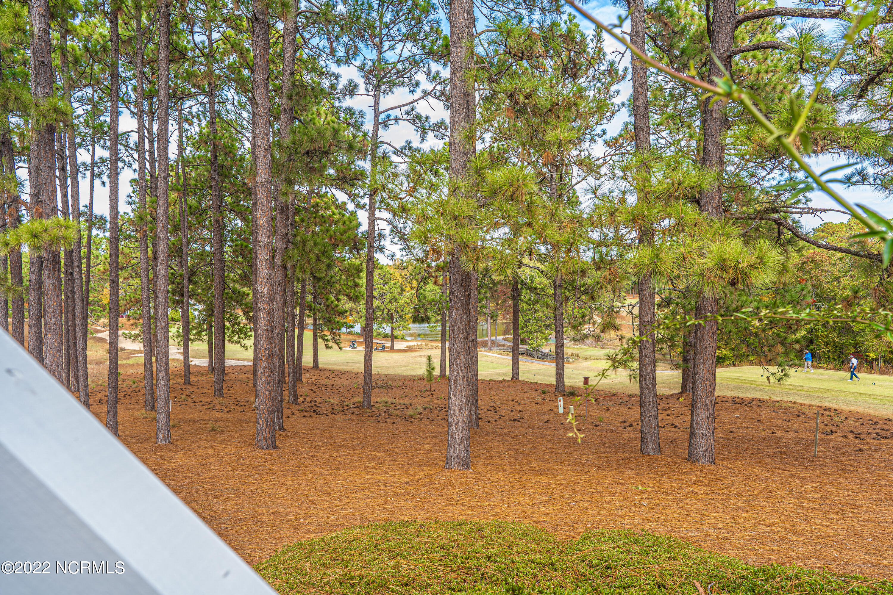 253 Knoll Road Southern Pines, NC 28387 - Photo 48 of 52 DSC00361