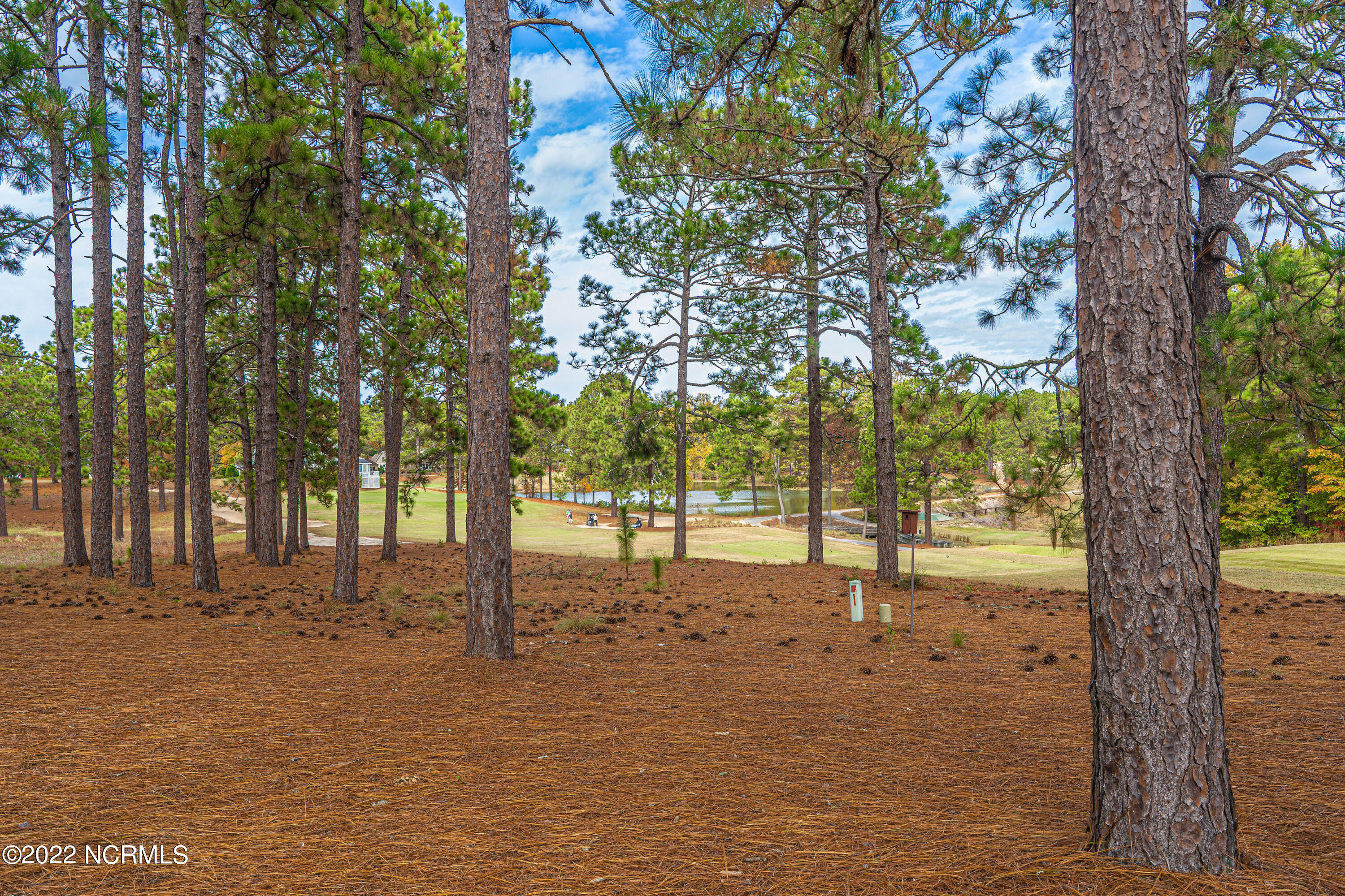 253 Knoll Road Southern Pines, NC 28387 - Photo 49 of 52 DSC00364