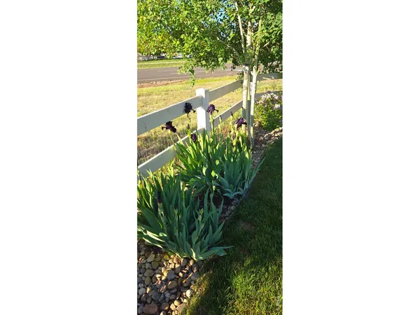 $665,000 | 10038 Buttesfield Street, Firestone, CO 80504