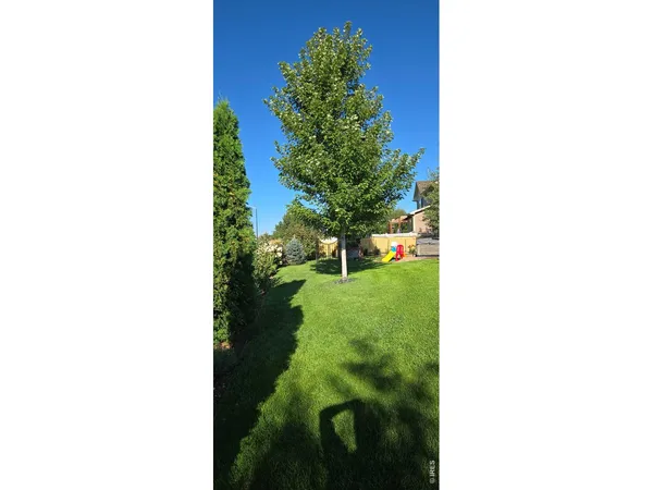 $665,000 | 10038 Buttesfield Street, Firestone, CO 80504