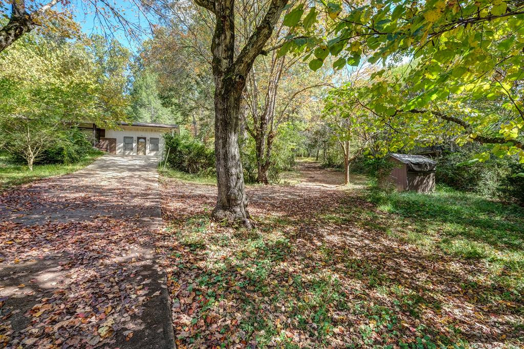 171 Caney Creek Road Murphy, NC 28906 - Photo 53 of 60