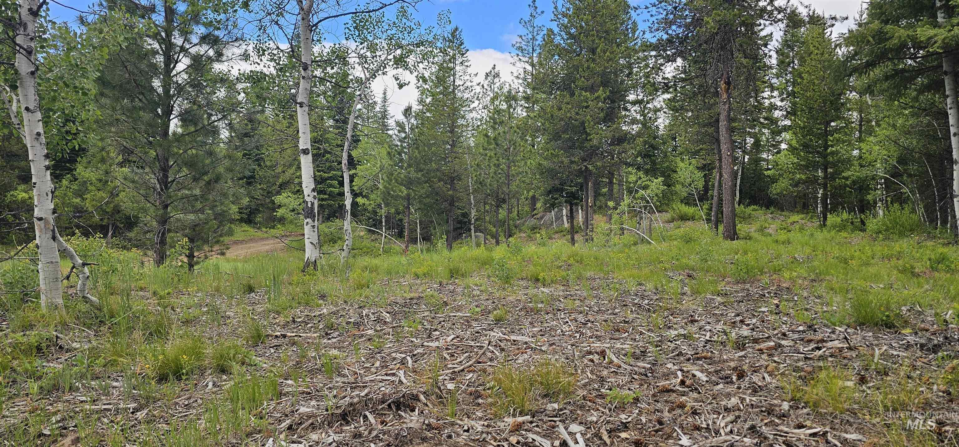 23 Sawtooth Loop Cascade, ID 83611 - Photo 40 of 45
