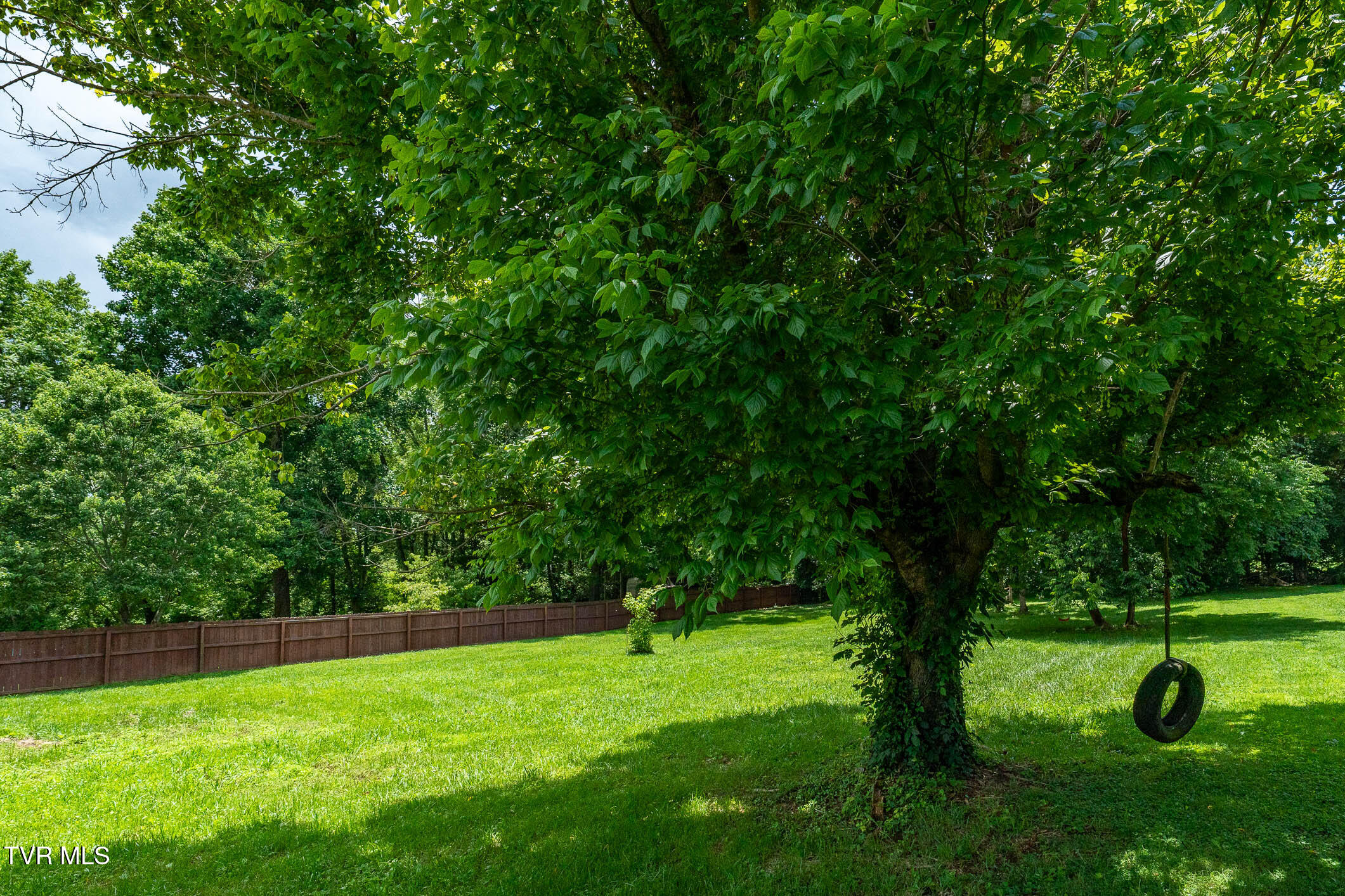 226 Dorothy Circle Limestone, TN 37681 - Photo 16 of 57 226 Dorothy Cir (12 of 28)
