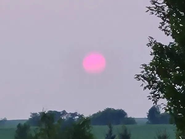 $949,900 | 3122 Saddle Brooke Trail, Sun Prairie, WI 53590