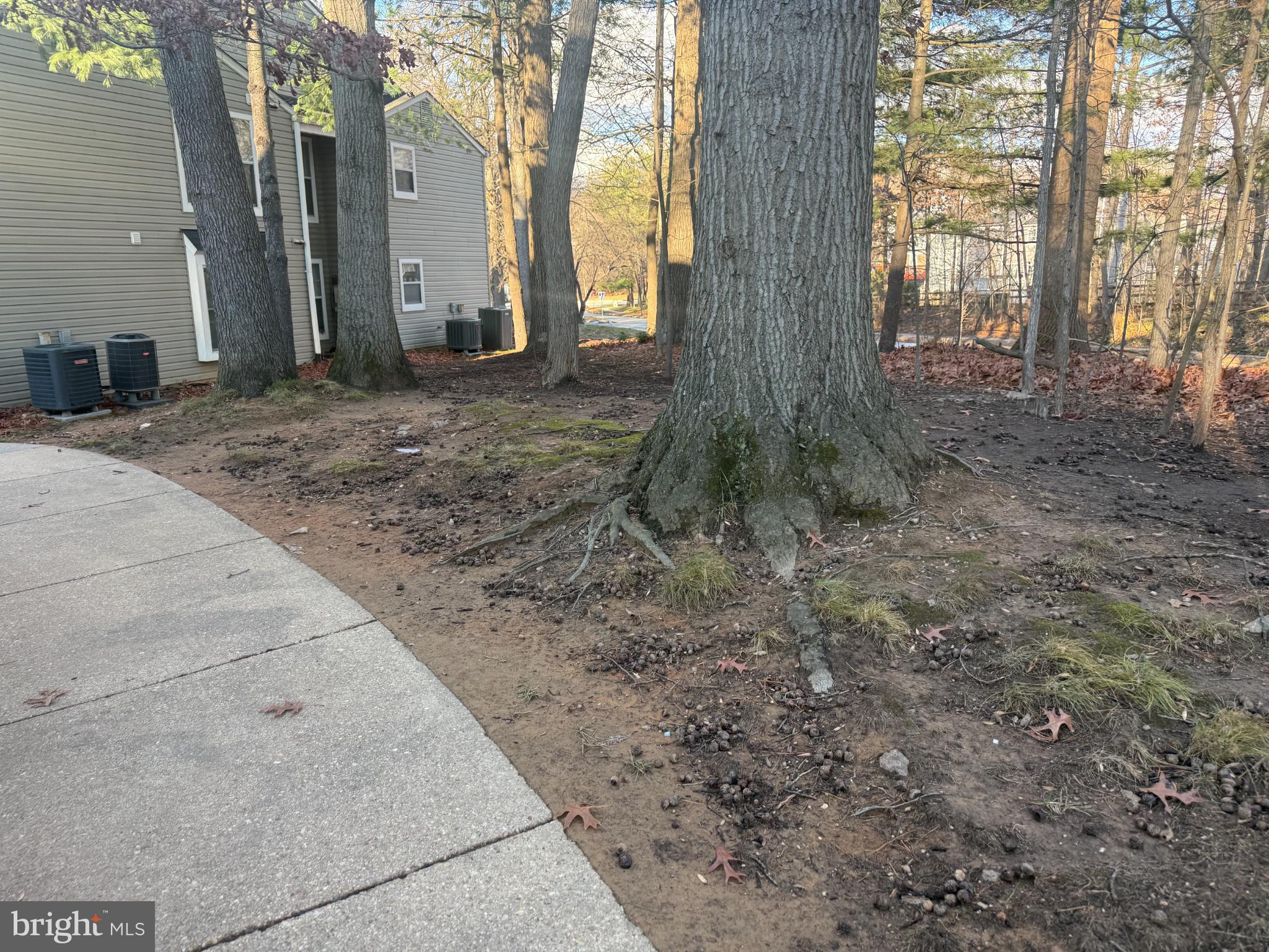 5930 Watch Chain Way, Unit 806 Columbia, MD 21044 - Photo 22 of 26 a view of a house with backyard and trees