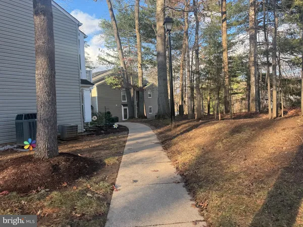 a view of backyard of house