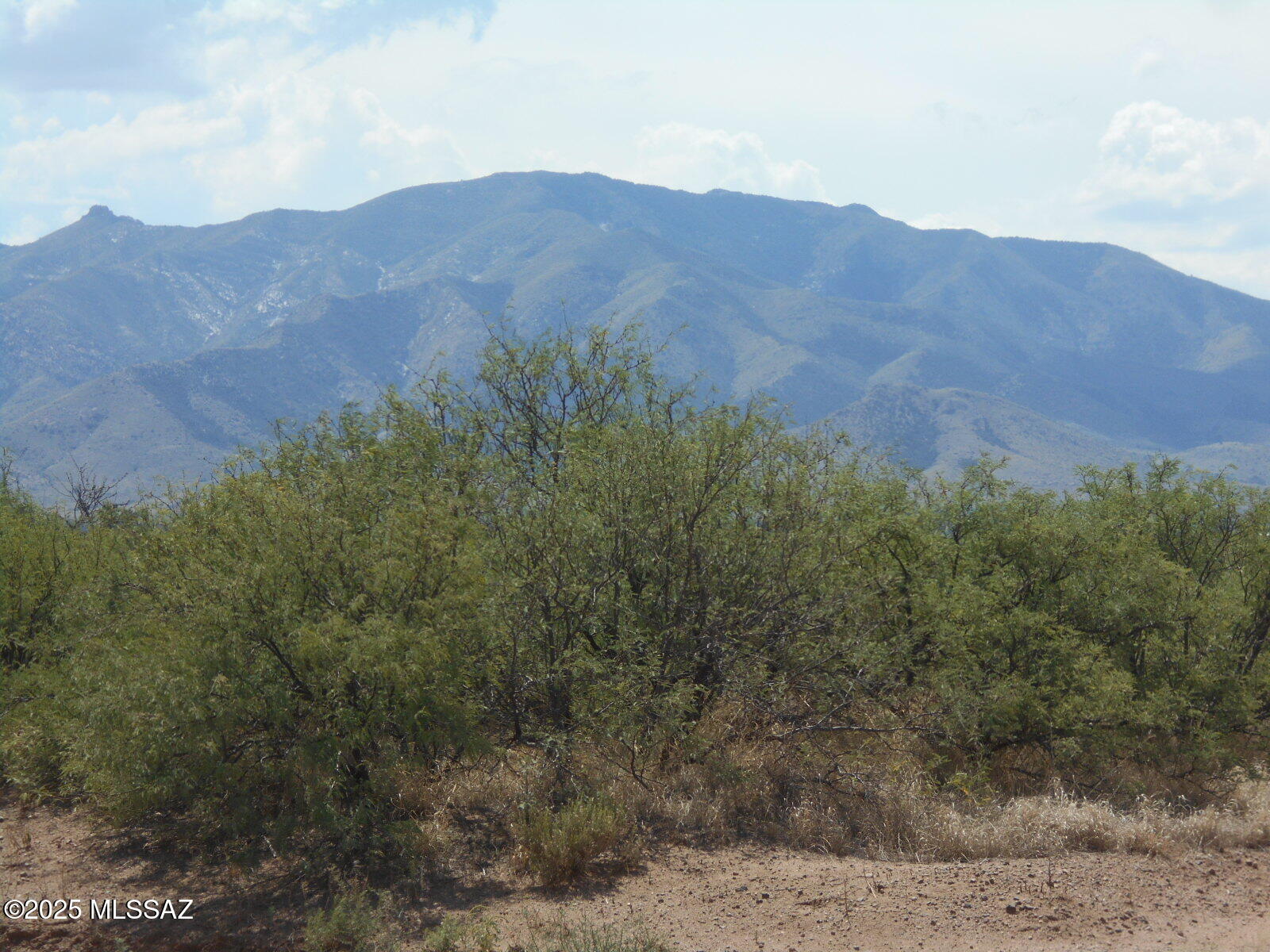 435 West Papago Way Cochise, AZ 85606 - Photo 39 of 39 DSCN5075
