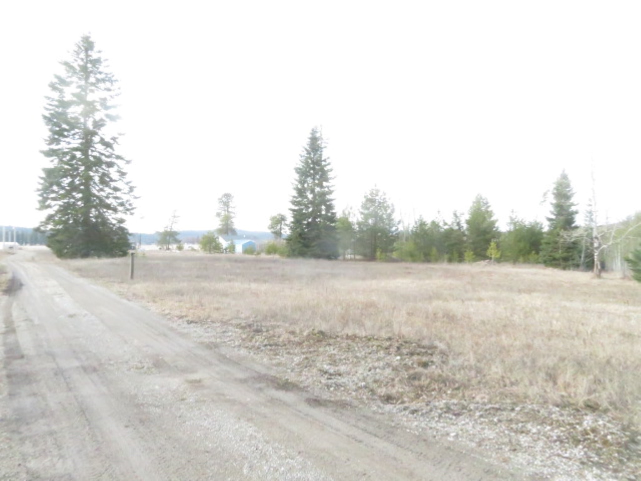 954 East Allen Road Elk, WA 99009 - Photo 2 of 49