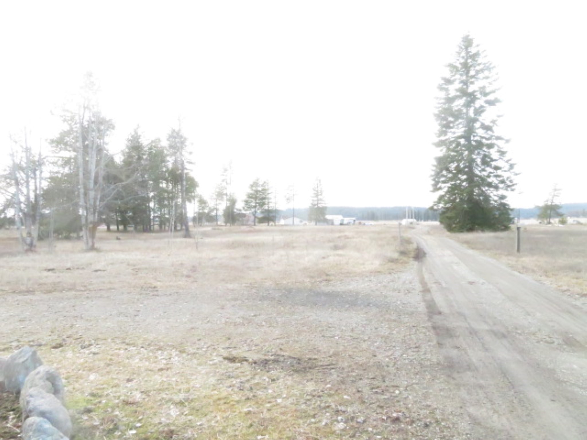 954 East Allen Road Elk, WA 99009 - Photo 3 of 49