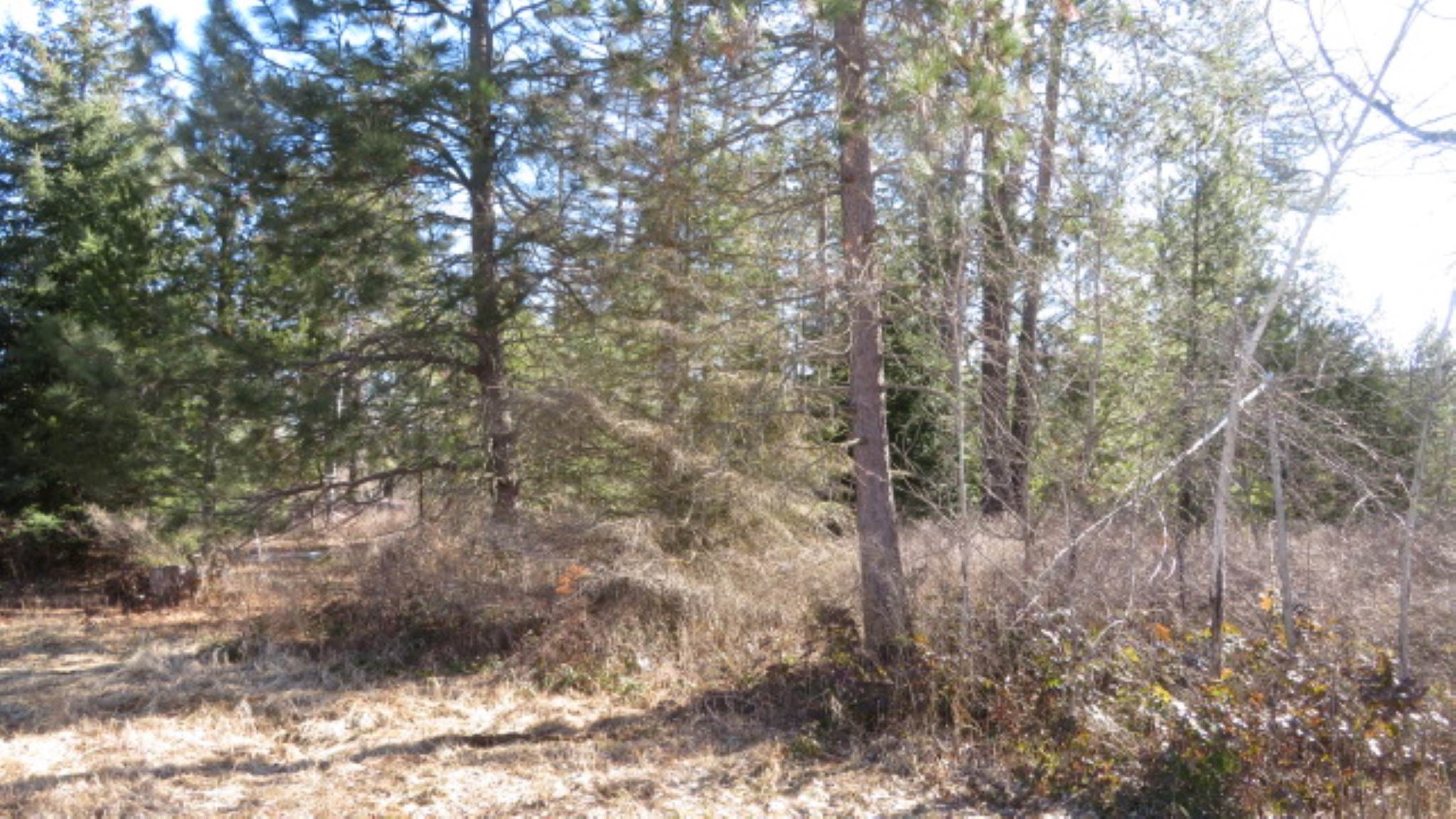 954 East Allen Road Elk, WA 99009 - Photo 33 of 49