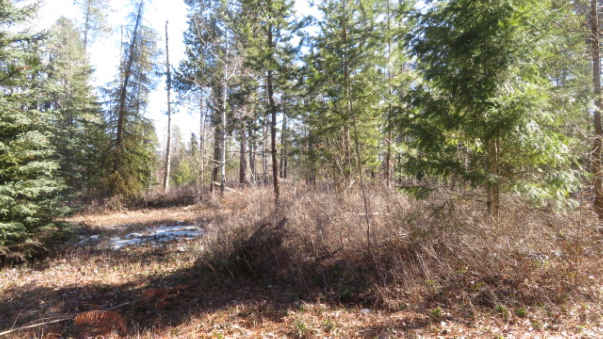 954 East Allen Road Elk, WA 99009 - Photo 34 of 49