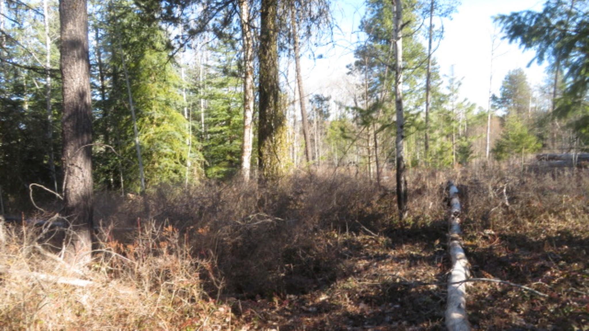 954 East Allen Road Elk, WA 99009 - Photo 35 of 49