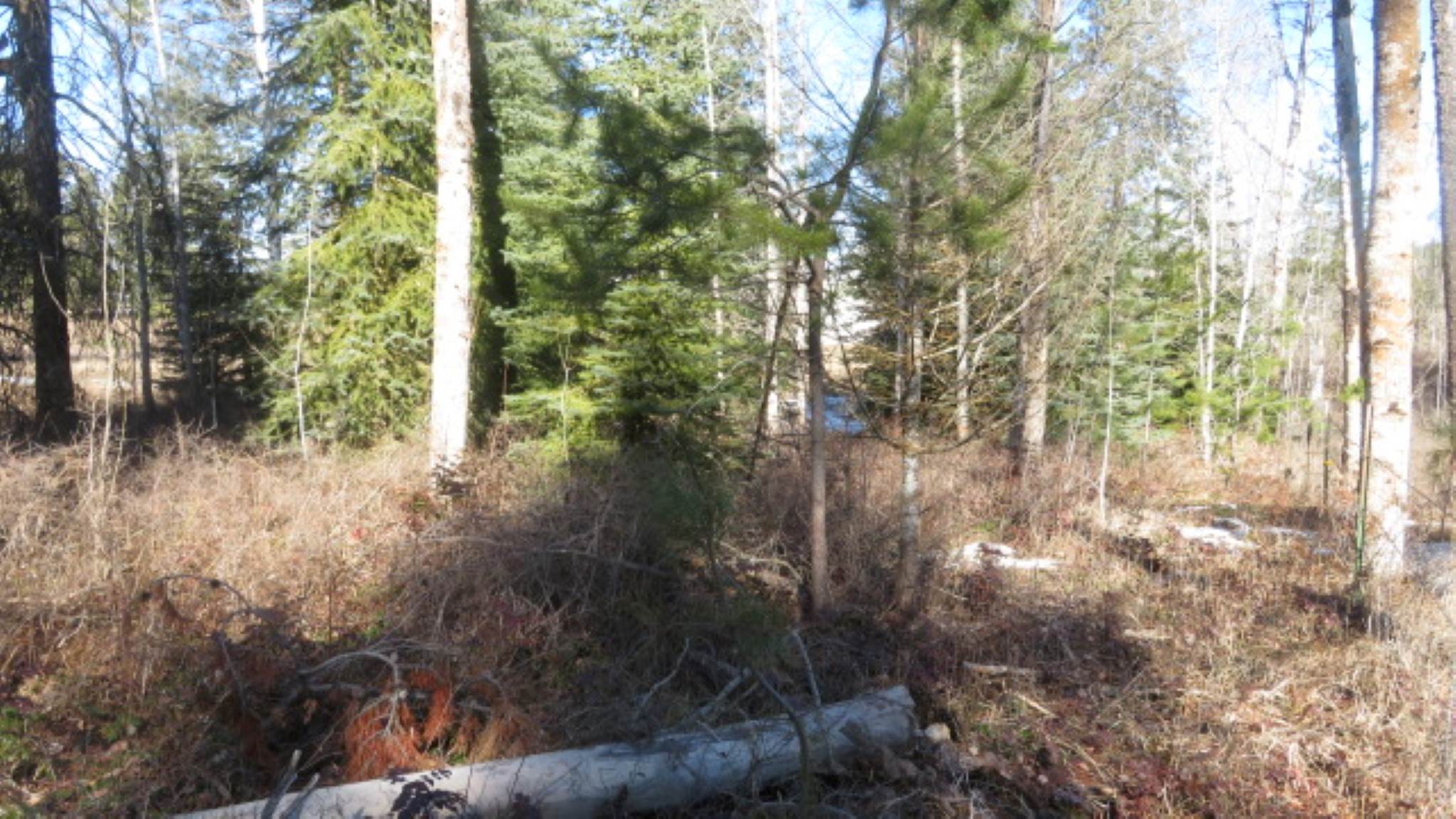 954 East Allen Road Elk, WA 99009 - Photo 38 of 49