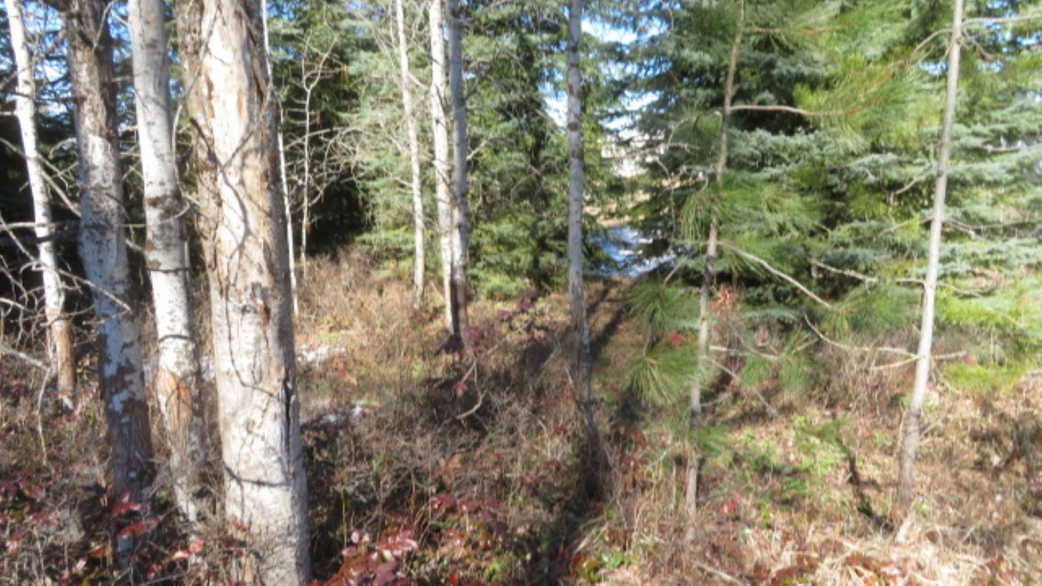 954 East Allen Road Elk, WA 99009 - Photo 39 of 49