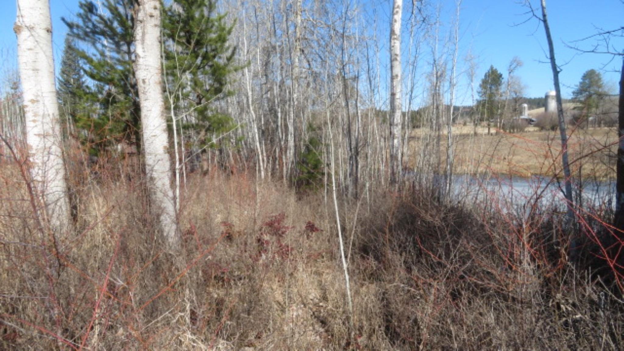 954 East Allen Road Elk, WA 99009 - Photo 43 of 49