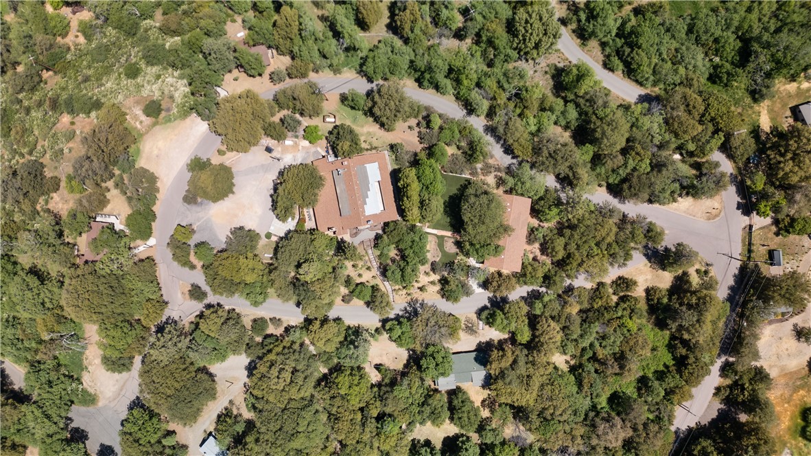 2960 La Posada Way Julian, CA 92036 - Photo 65 of 66 a close up of a plant