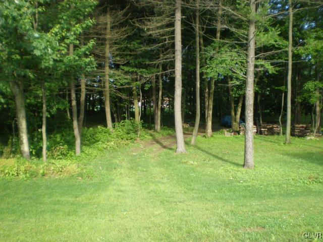 8680 Jones Road Germansville, PA 18053 - Photo 10 of 10 Gallery Image 10