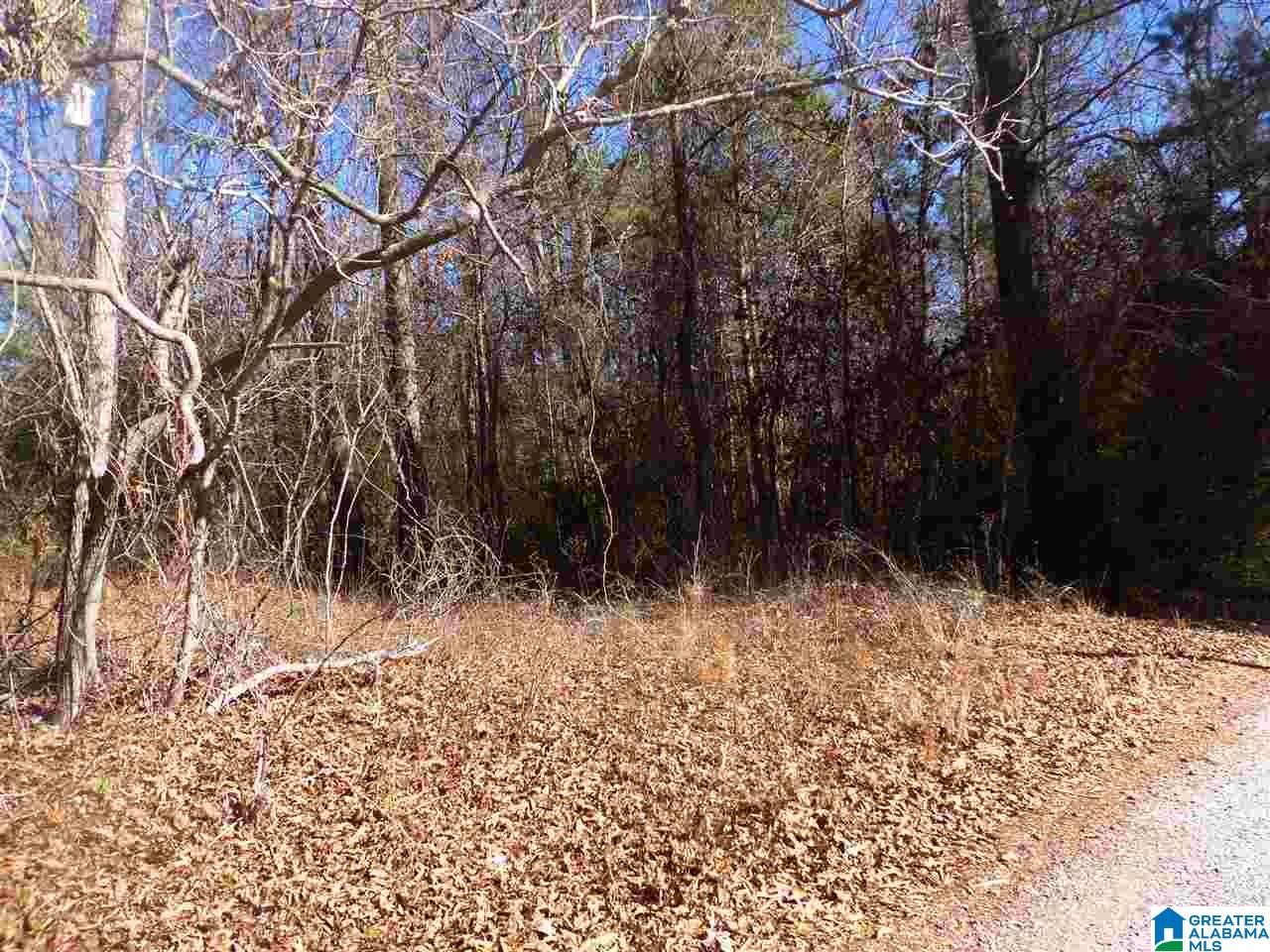 8425 Wade Road Warrior, AL 35180 - Photo 2 of 2