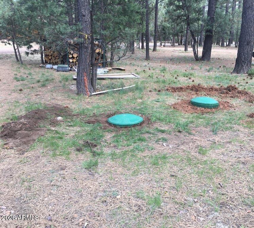 2890 Pine Rim Road Overgaard, AZ 85933 - Photo 5 of 5
