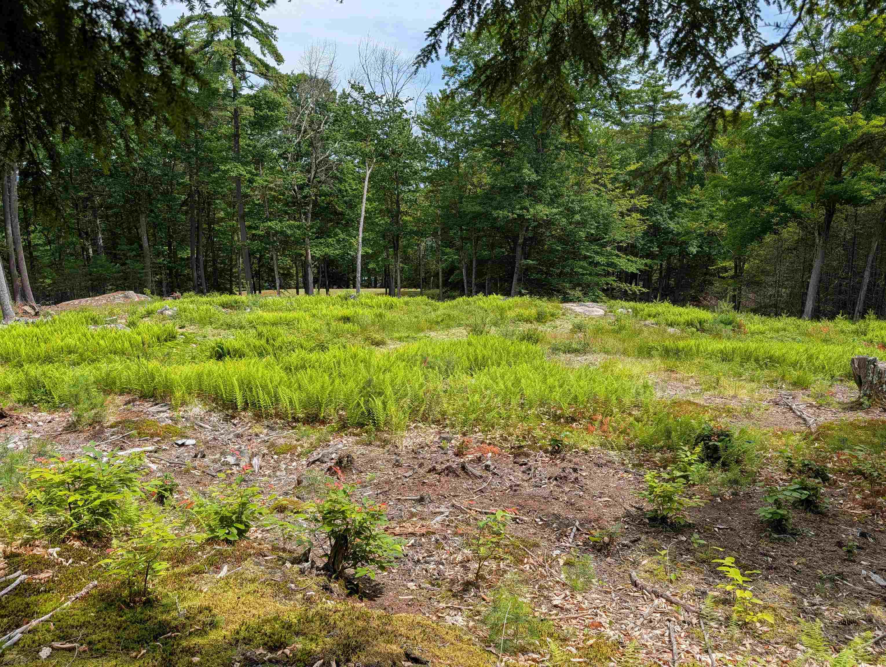 70 High Ridge Road Moultonborough, NH 03254 - Photo 7 of 37
