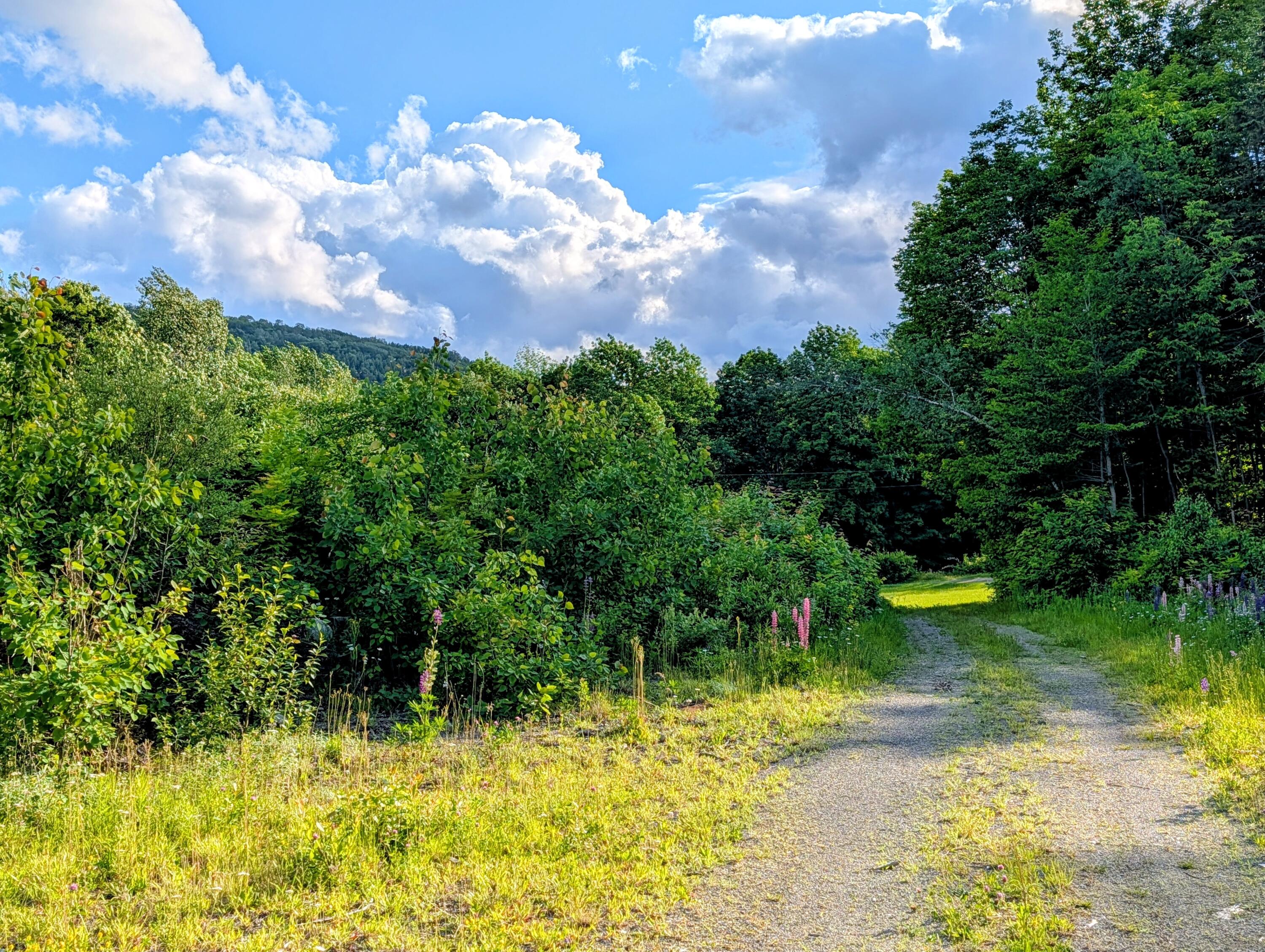 147 Calvin Gray Road Madrid Township, ME 04966 - Photo 58 of 68 147 Calvin Gray Road