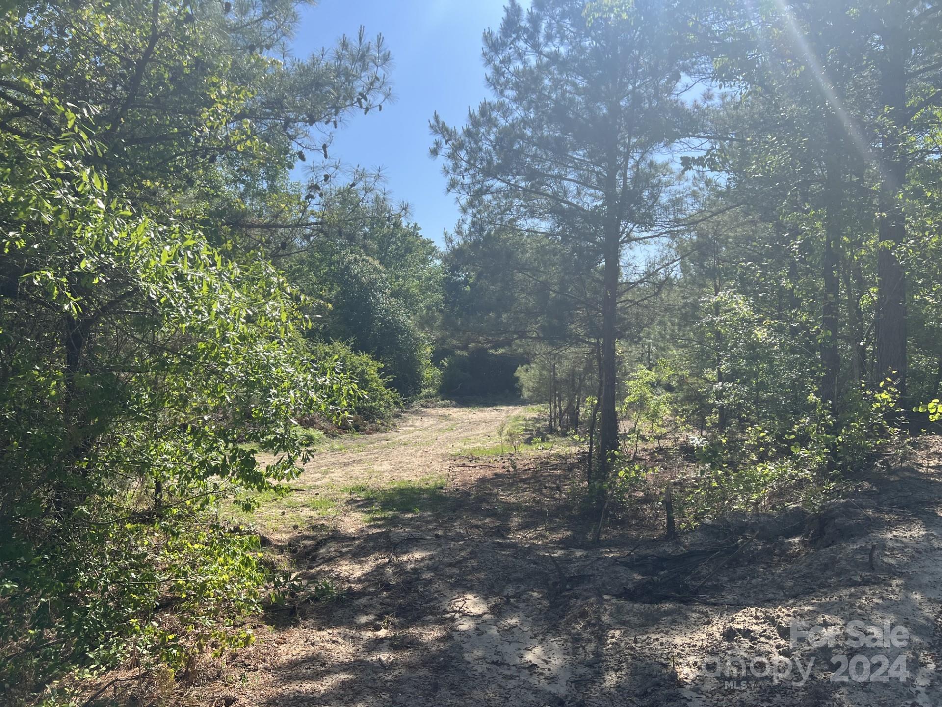 0 West Ridge Lane, Unit TRACT 8 Biscoe, NC 27209 - Photo 2 of 9