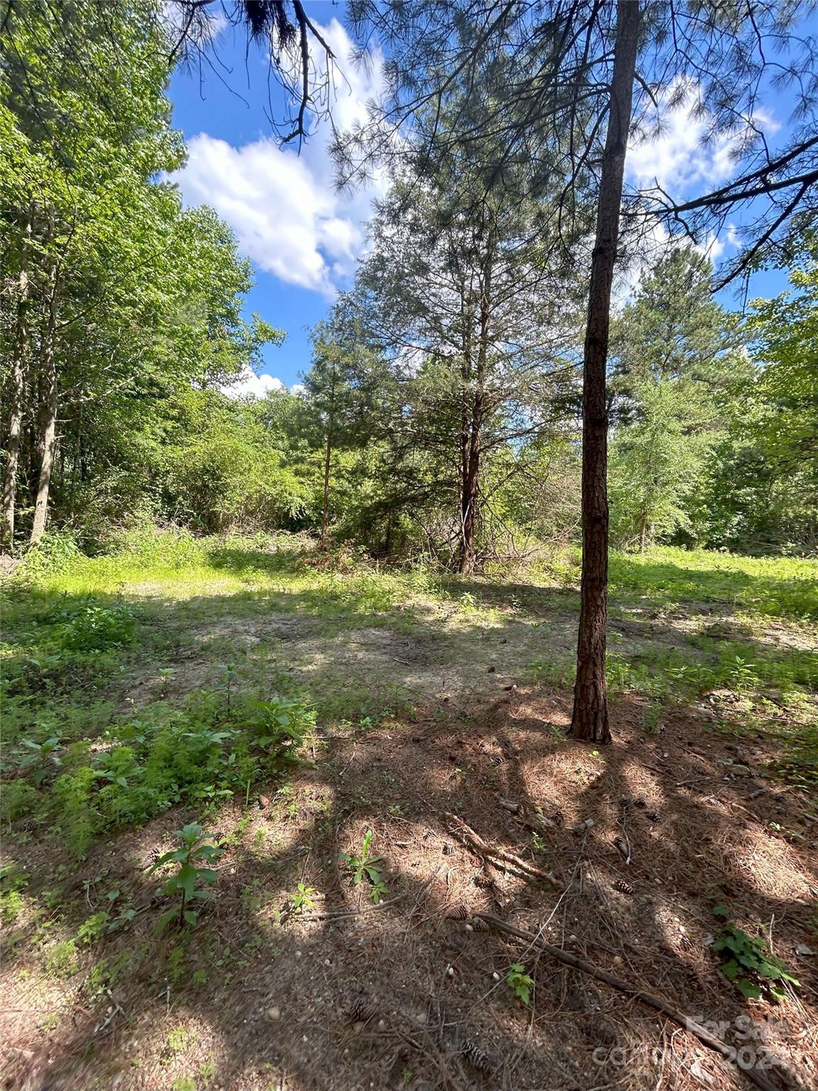 0 West Ridge Lane, Unit TRACT 8 Biscoe, NC 27209 - Photo 5 of 9