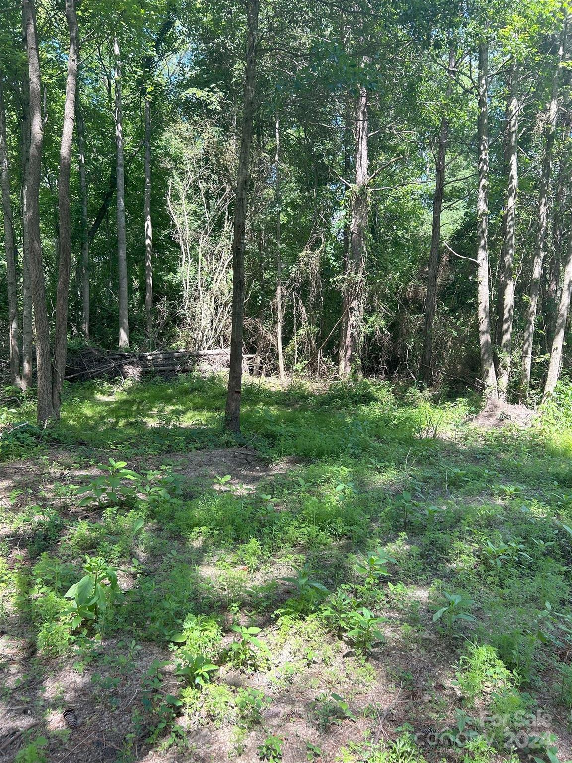 0 West Ridge Lane, Unit TRACT 8 Biscoe, NC 27209 - Photo 6 of 9