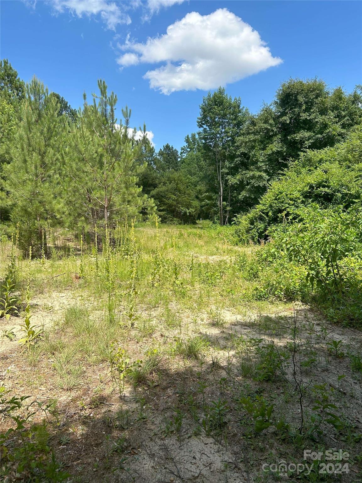 0 West Ridge Lane, Unit TRACT 8 Biscoe, NC 27209 - Photo 8 of 9