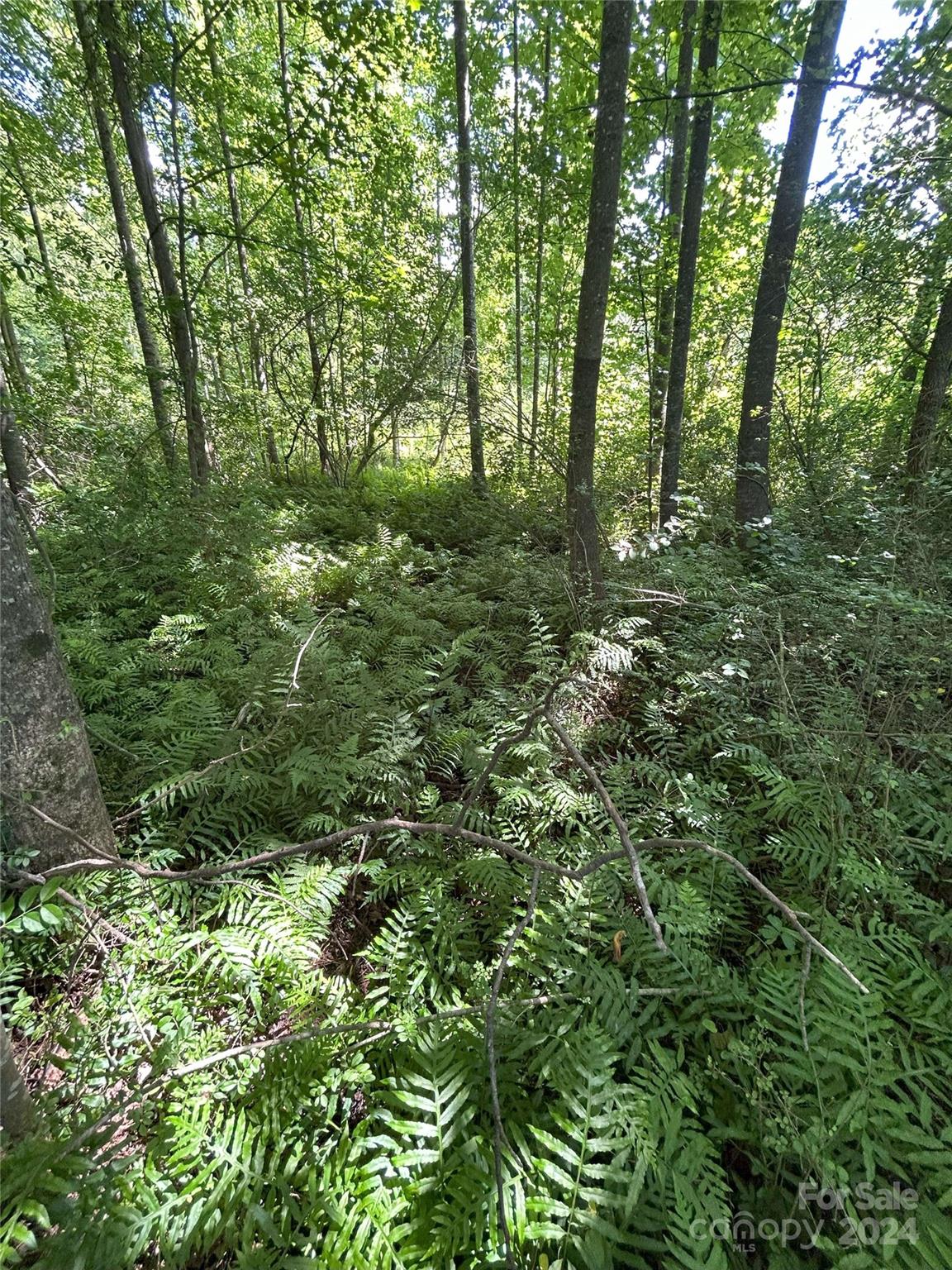 0 West Ridge Lane, Unit TRACT 8 Biscoe, NC 27209 - Photo 9 of 9