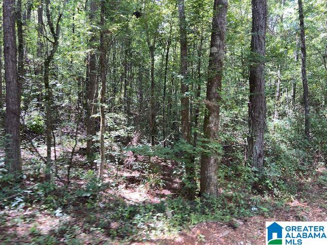 0 County Road 89, Unit 1 Clanton, AL 35046 - Photo 10 of 17