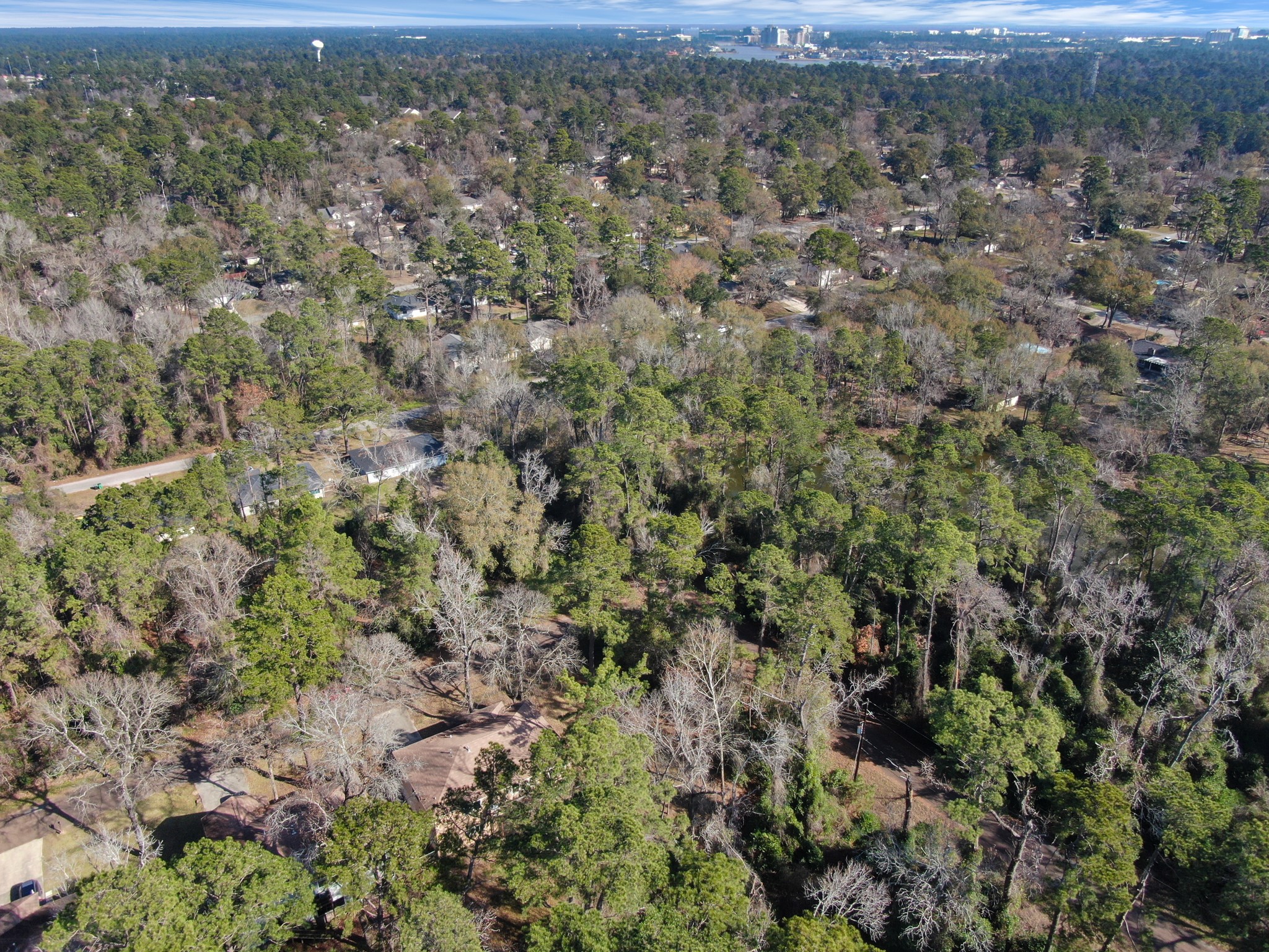 3527 Gary Lane Spring, TX 77380 - Photo 43 of 47 an aerial view of forest