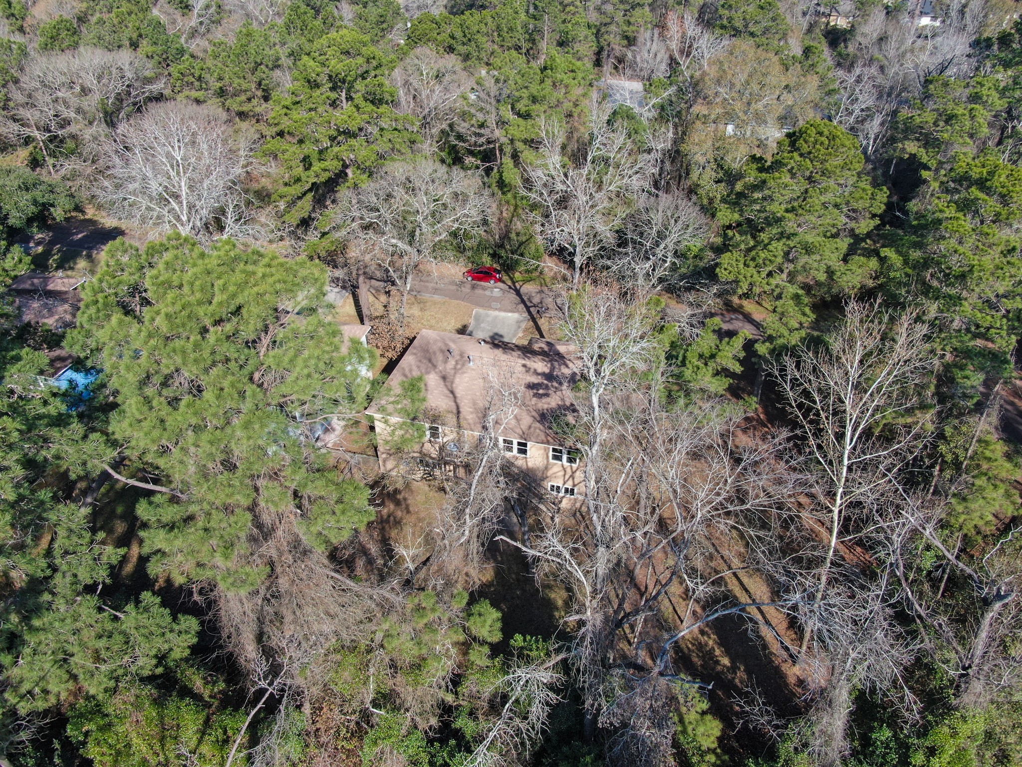 3527 Gary Lane Spring, TX 77380 - Photo 45 of 47 a view of a lush green forest with lots of trees