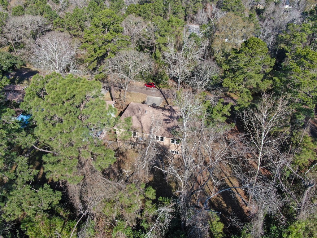 3527 Gary Lane Spring, TX 77380 - Photo 45 of 47 a view of a forest with a tree
